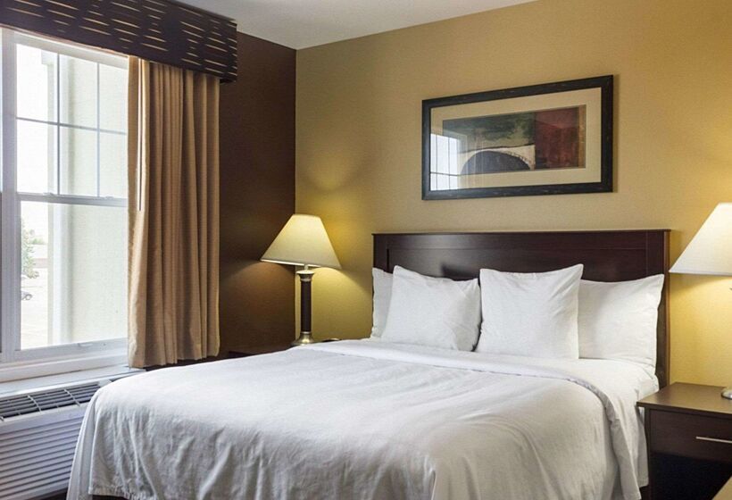 فندق Mainstay Suites Minot