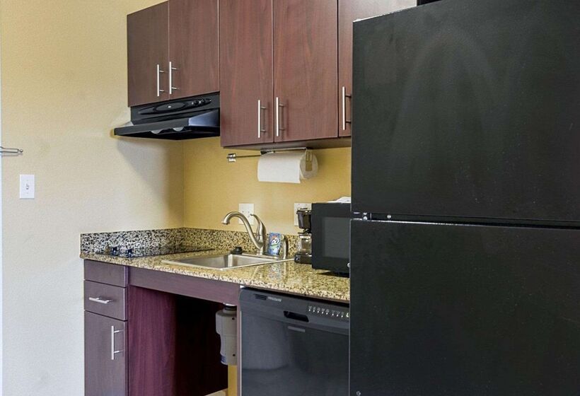 فندق Mainstay Suites Minot