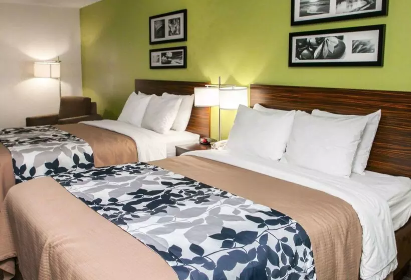 ホテル Sleep Inn & Suites Harrisburg   Hershey North
