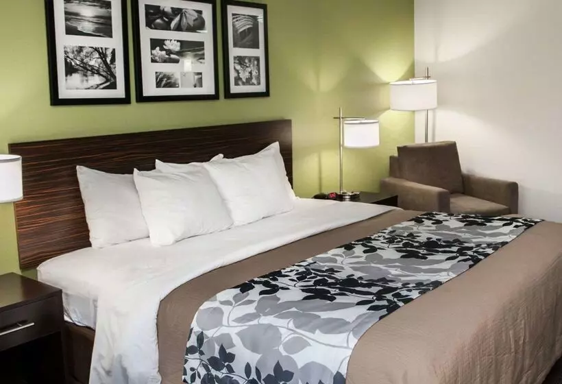 ホテル Sleep Inn & Suites Harrisburg   Hershey North