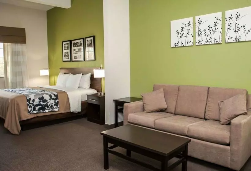 ホテル Sleep Inn & Suites Harrisburg   Hershey North