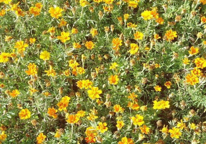 モーテル North Ridge