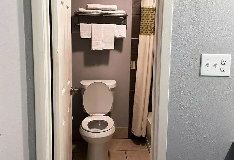 汽车旅馆  Royal Inn Linden