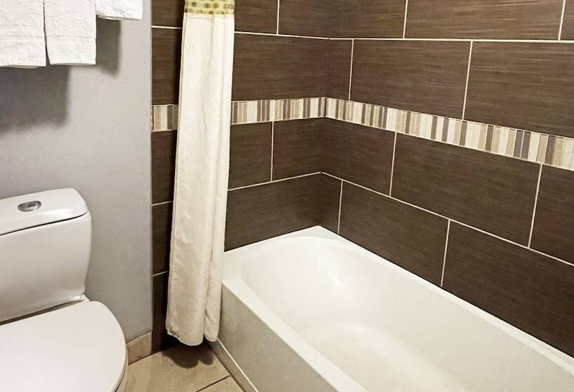 汽车旅馆 Royal Inn Linden