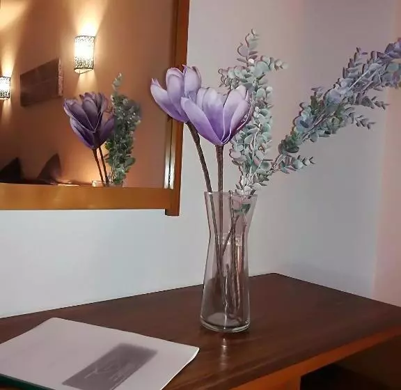 Apartamentos Turisticos Lindomar