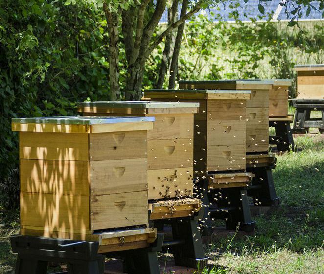 호텔 Applewood Inn