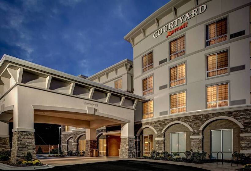בית מלון כפרי Courtyard By Marriott Boone
