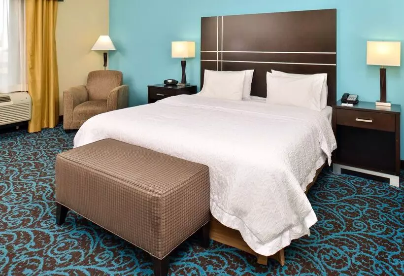 ホテル Hampton Inn By Hilton Dayton South