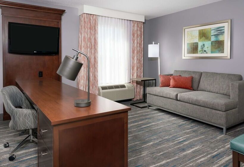 هتل Hampton Inn & Suites Orlando Airport @ Gateway Village