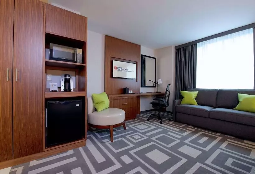酒店 Hilton Garden Inn New York/central Park Southmidtown West