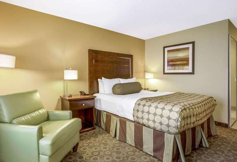 فندق La Quinta By Wyndham Dickinson