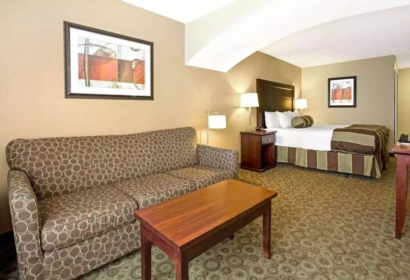 فندق La Quinta By Wyndham Dickinson