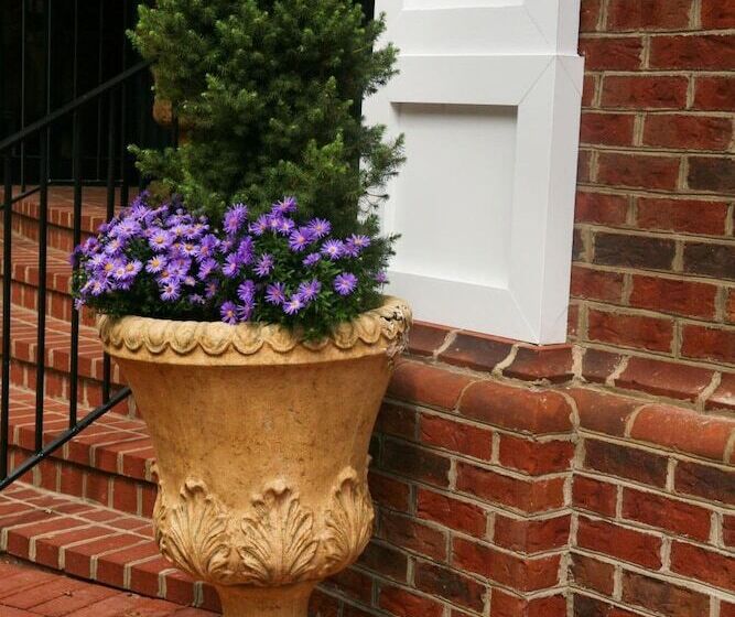 Отель Main Street Inn