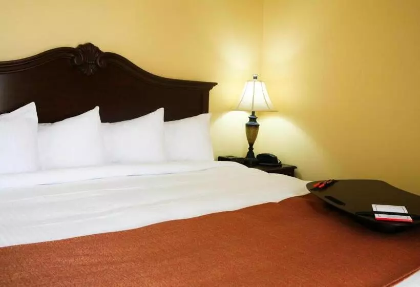 ホテル Main Street Inn