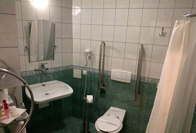 בית מלון כפרי Matejko