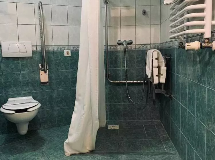 בית מלון כפרי Matejko