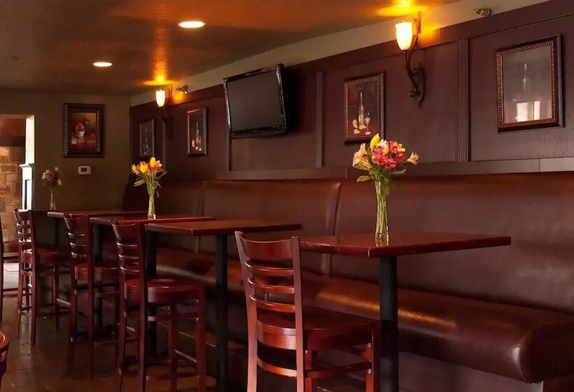 酒店 Silverton Inn & Suites