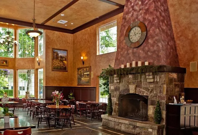 酒店 Silverton Inn & Suites