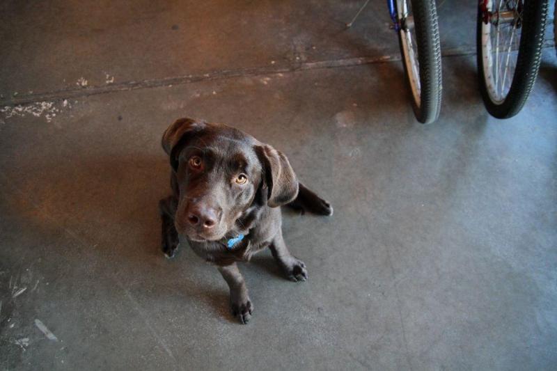 בית מלון כפרי Adrift