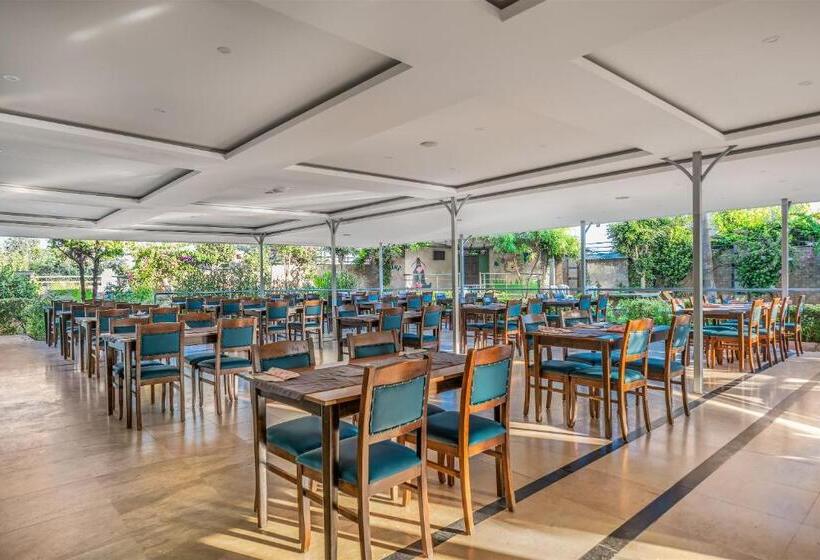 בית מלון כפרי Arsi Blue Beach