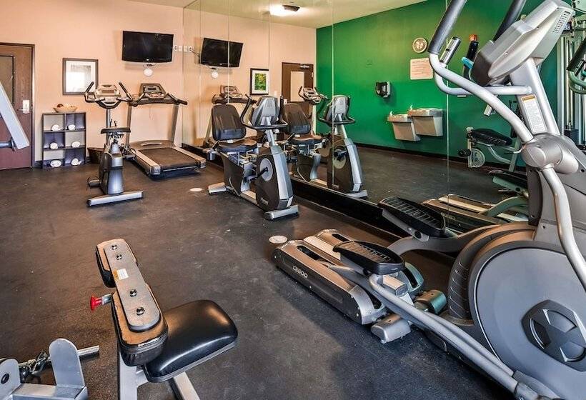 ホテル Best Western Plus Carrizo Springs Inn & Suites