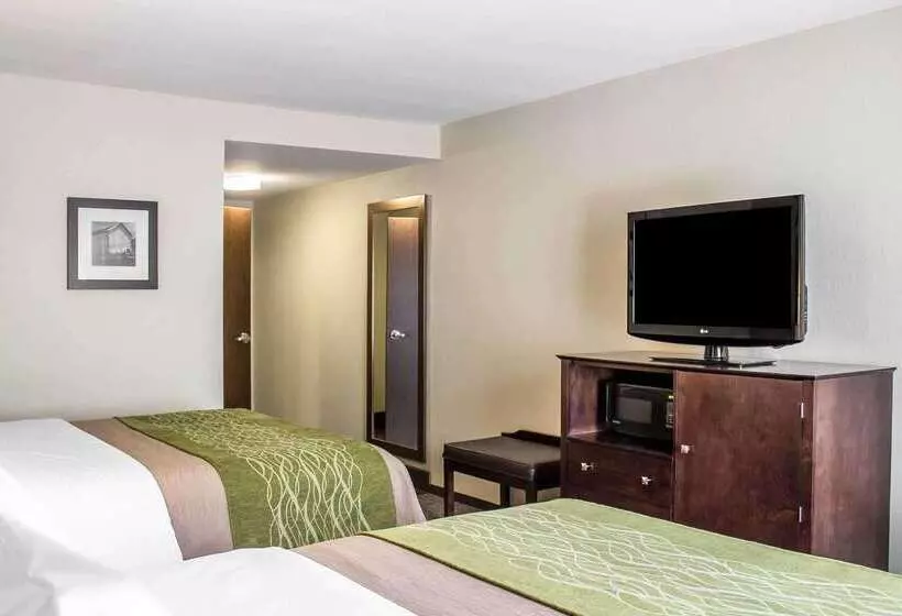 ホテル Comfort Inn