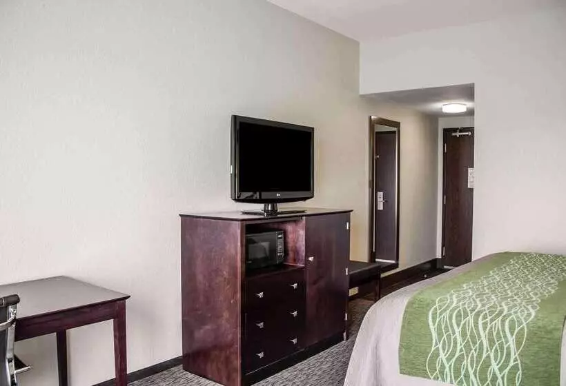 ホテル Comfort Inn