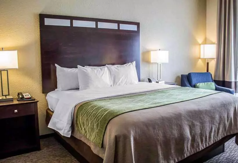 ホテル Comfort Inn