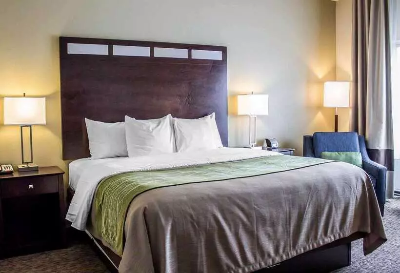 ホテル Comfort Inn