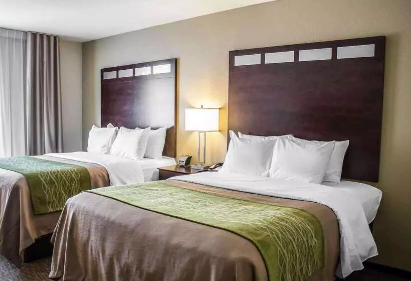 ホテル Comfort Inn
