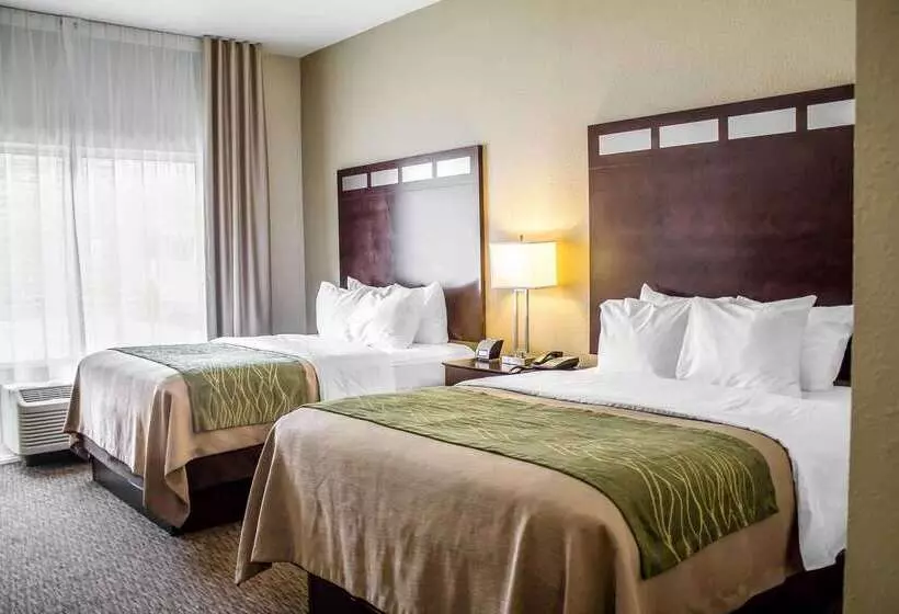 ホテル Comfort Inn