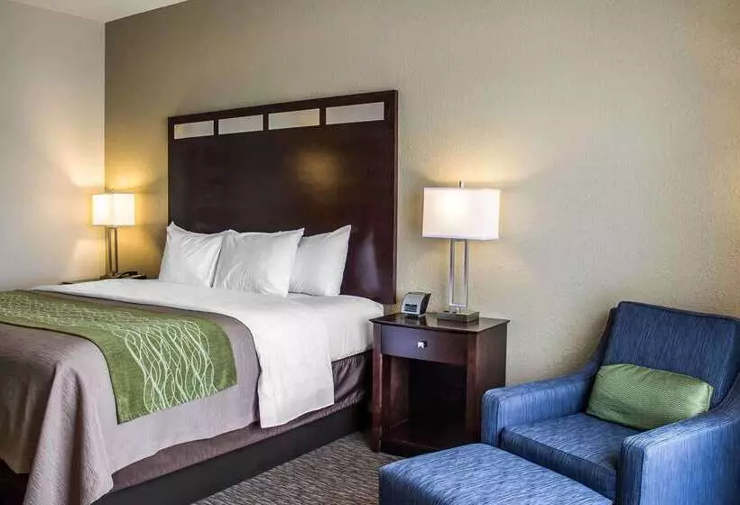 ホテル Comfort Inn