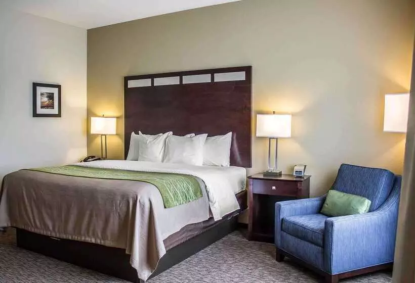ホテル Comfort Inn