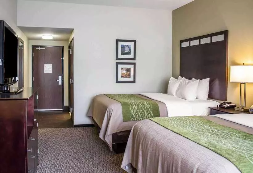ホテル Comfort Inn