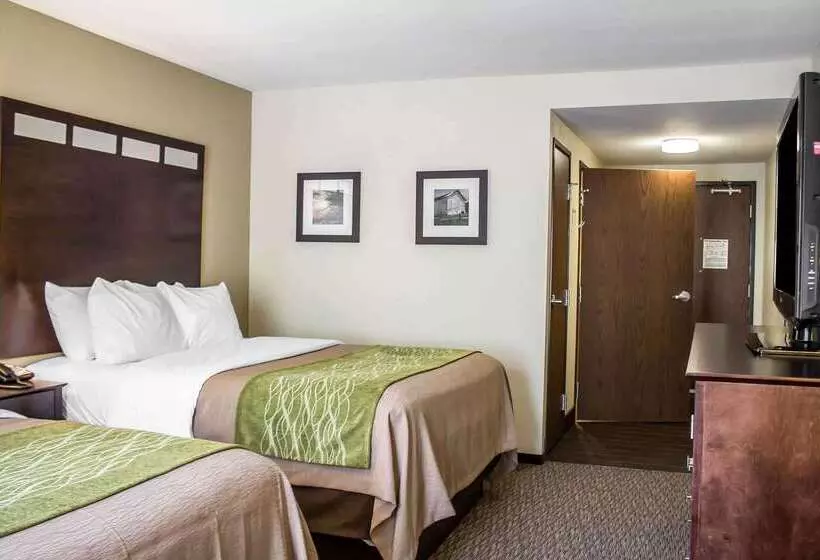 ホテル Comfort Inn