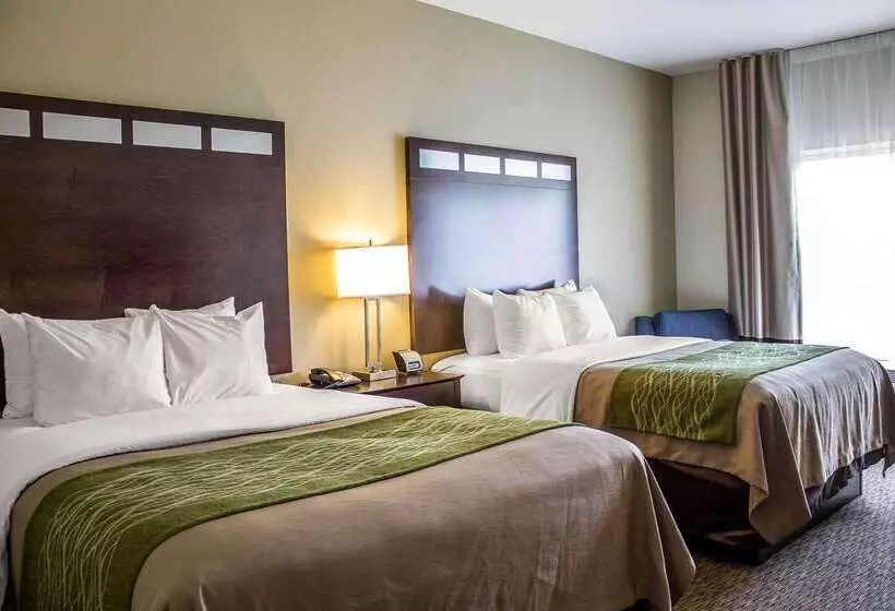 ホテル Comfort Inn