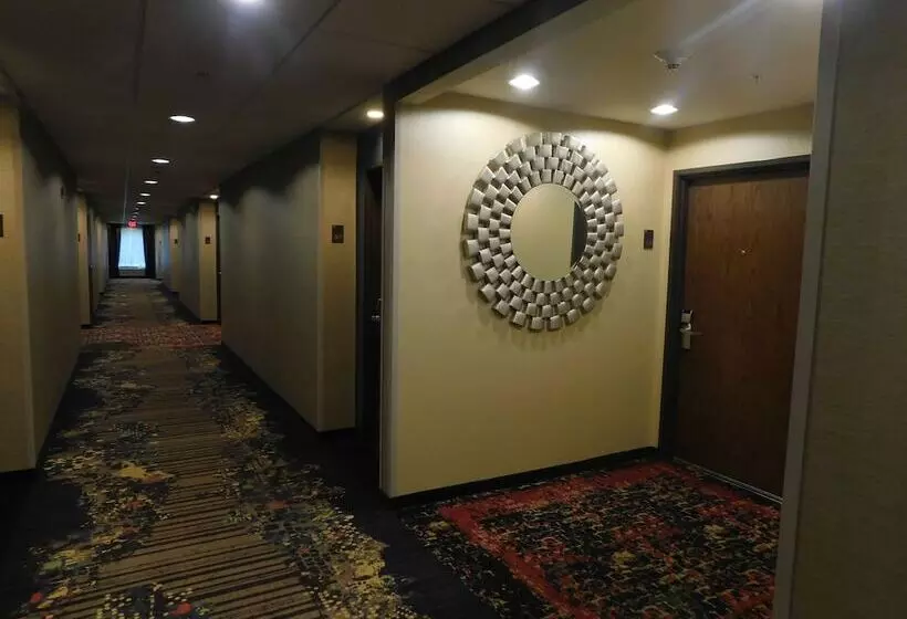 ホテル Comfort Inn