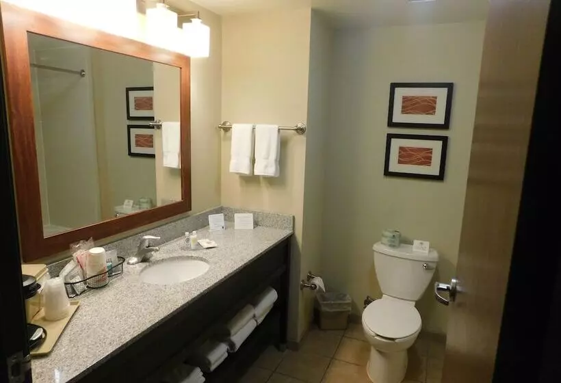 ホテル Comfort Inn