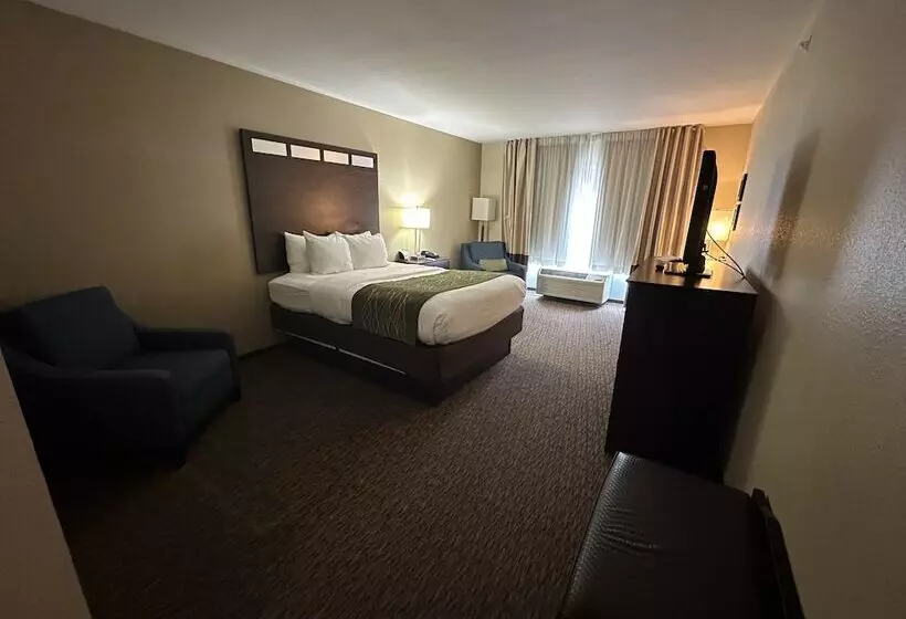 ホテル Comfort Inn