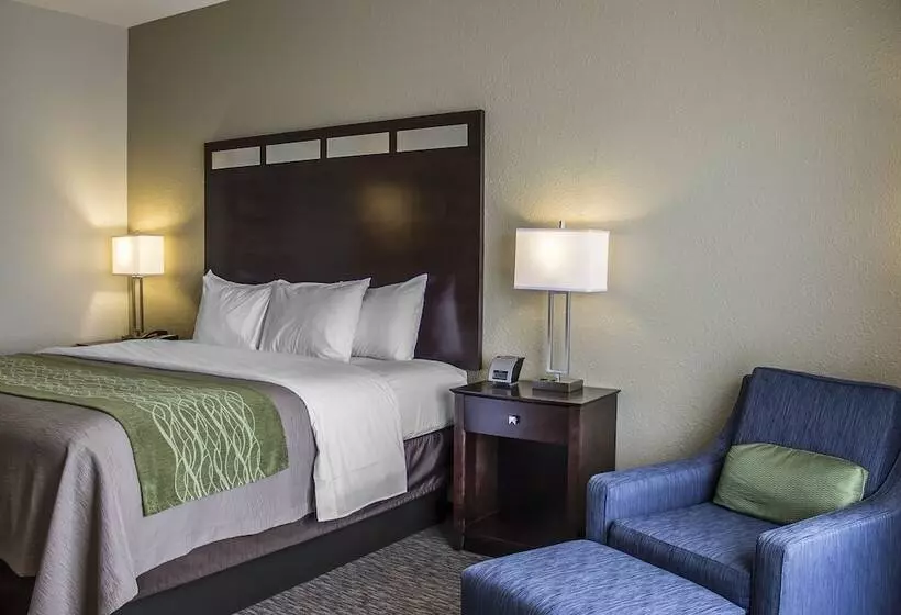 ホテル Comfort Inn