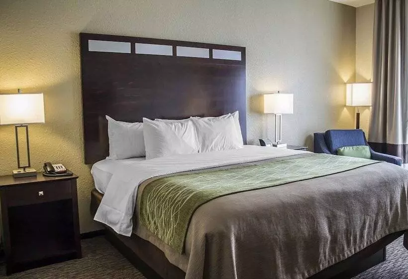 ホテル Comfort Inn