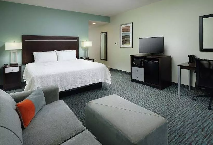 ホテル Hampton Inn Chattanooga West/lookout Mountain