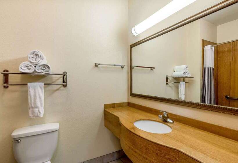 בית מלון כפרי La Quinta By Wyndham Dodge City