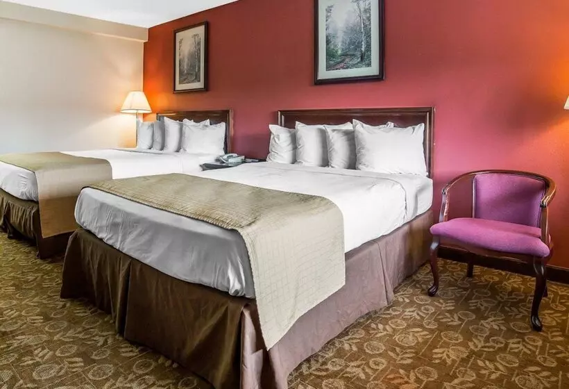 酒店 Quality Inn & Suites Minden