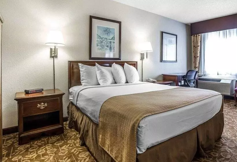 酒店 Quality Inn & Suites Minden