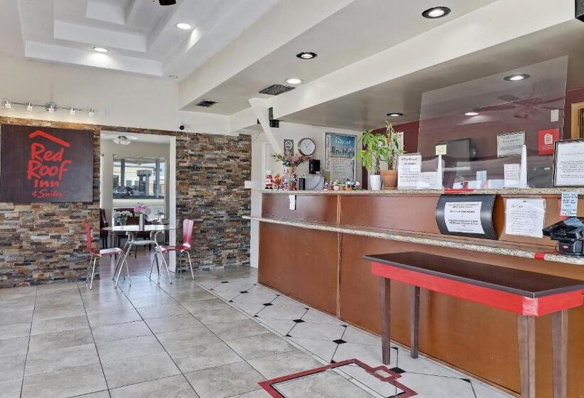 ホテル Red Roof Inn Needles