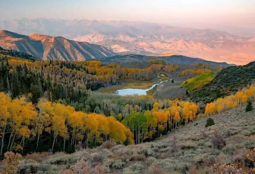 Отель The Snuggle Inn