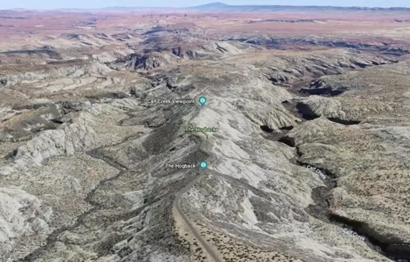 Отель The Snuggle Inn