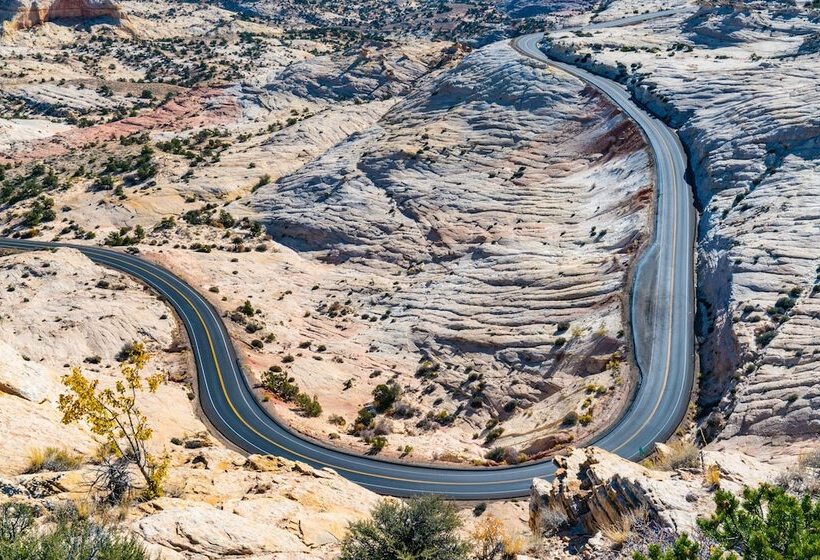 فندق The Snuggle Inn