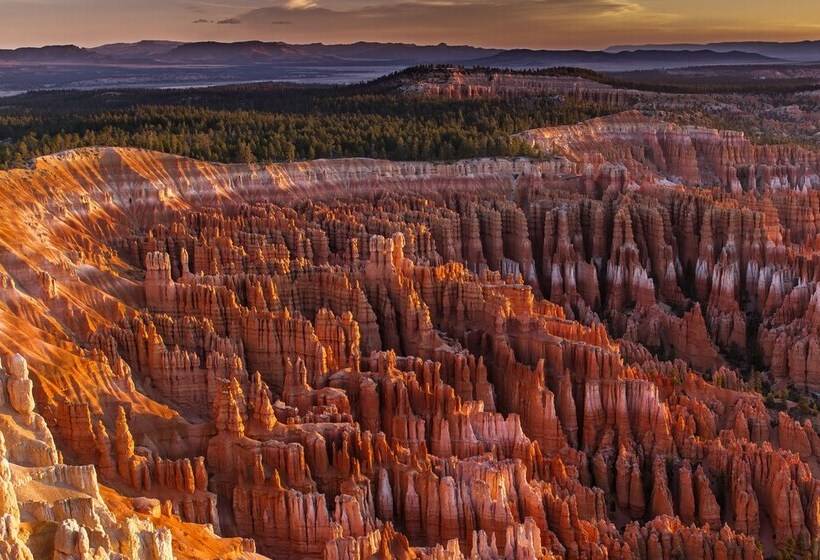 فندق The Snuggle Inn